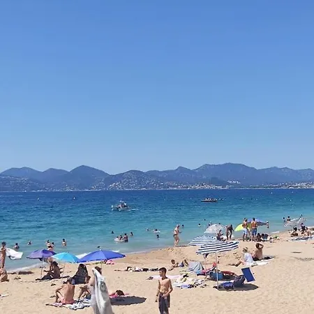 Apartment A 50 M Des Plages, Proche Du Vieux Port Et Palais Des Festivals Superbe 3 P Moderne *