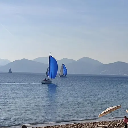 A 50 M Des Plages, Proche Du Vieux Port Et Palais Des Festivals Superbe 3 P Moderne Cannes